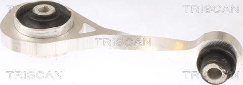 Triscan 8505 10111 - Подушка, підвіска двигуна autozip.com.ua