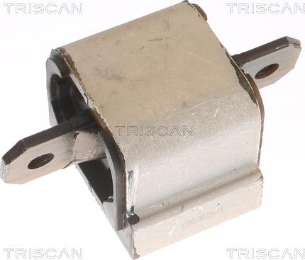 Triscan 8505 10203 - Підвіска, автоматична коробка передач autozip.com.ua