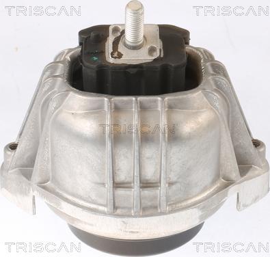 Triscan 8505 11104 - Подушка, підвіска двигуна autozip.com.ua