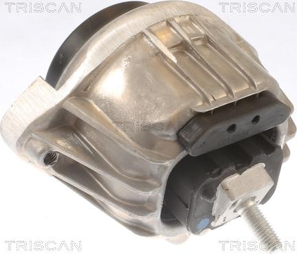 Triscan 8505 11105 - Подушка, підвіска двигуна autozip.com.ua