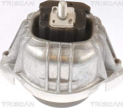 Triscan 8505 11107 - Подушка, підвіска двигуна autozip.com.ua
