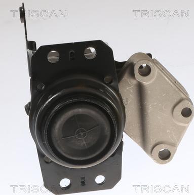 Triscan 8505 11208 - Підвіска, автоматична коробка передач autozip.com.ua