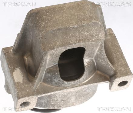Triscan 8505 29196 - Подушка, підвіска двигуна autozip.com.ua