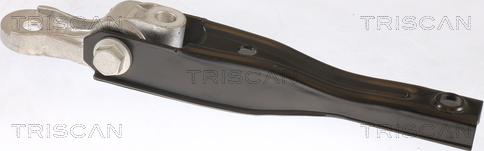 Triscan 8505 29149 - Подушка, підвіска двигуна autozip.com.ua
