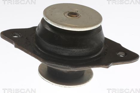 Triscan 8505 29144 - Подушка, підвіска двигуна autozip.com.ua