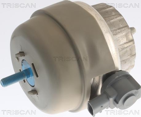 Triscan 8505 29141 - Подушка, підвіска двигуна autozip.com.ua