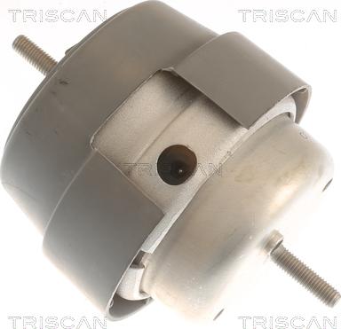 Triscan 8505 29169 - Подушка, підвіска двигуна autozip.com.ua