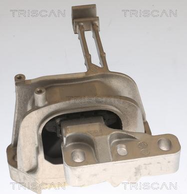 Triscan 8505 29164 - Подушка, підвіска двигуна autozip.com.ua