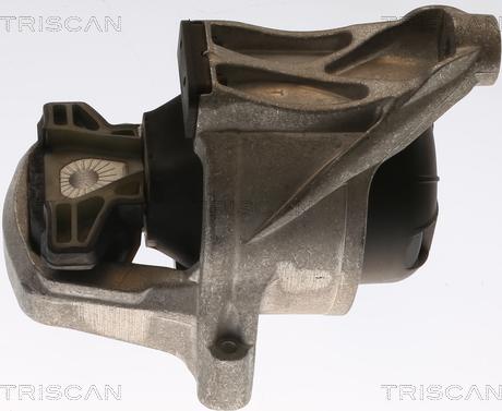 Triscan 8505 29168 - Подушка, підвіска двигуна autozip.com.ua