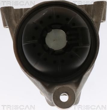 Triscan 8505 29168 - Подушка, підвіска двигуна autozip.com.ua