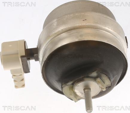 Triscan 8505 29111 - Подушка, підвіска двигуна autozip.com.ua