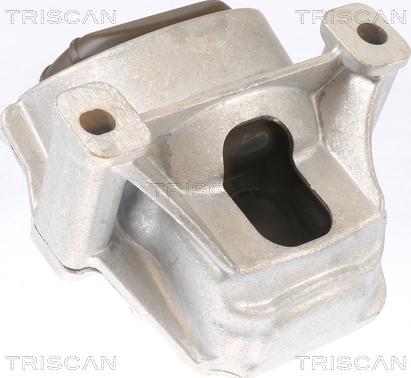 Triscan 8505 29130 - Подушка, підвіска двигуна autozip.com.ua