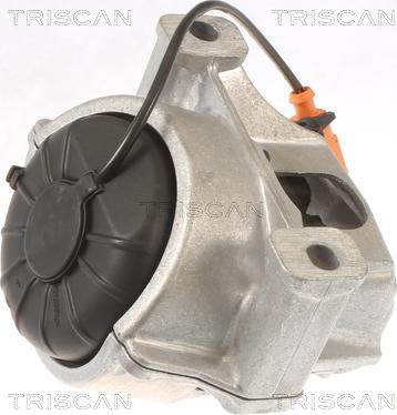 Triscan 8505 29133 - Подушка, підвіска двигуна autozip.com.ua