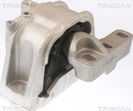 Triscan 8505 29124 - Подушка, підвіска двигуна autozip.com.ua
