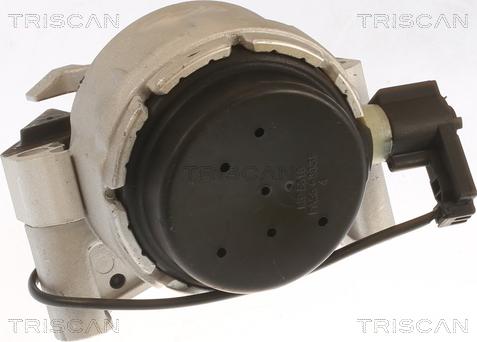 Triscan 8505 29170 - Подушка, підвіска двигуна autozip.com.ua