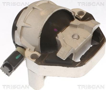 Triscan 8505 29170 - Подушка, підвіска двигуна autozip.com.ua