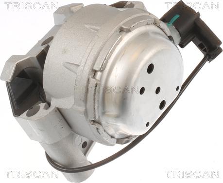 Triscan 8505 29171 - Подушка, підвіска двигуна autozip.com.ua