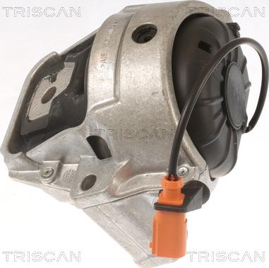 Triscan 8505 29178 - Подушка, підвіска двигуна autozip.com.ua