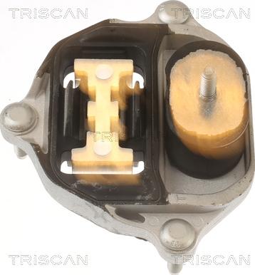 Triscan 8505 29218 - Підвіска, автоматична коробка передач autozip.com.ua