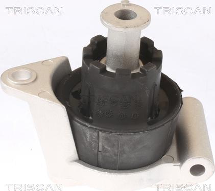 Triscan 8505 24103 - Подушка, підвіска двигуна autozip.com.ua