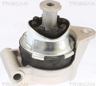 Triscan 8505 24117 - Подушка, підвіска двигуна autozip.com.ua