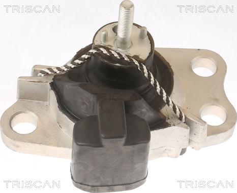 Triscan 8505 25100 - Подушка, підвіска двигуна autozip.com.ua