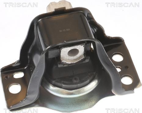Triscan 8505 25102 - Подушка, підвіска двигуна autozip.com.ua