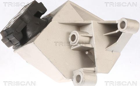 Triscan 8505 25110 - Подушка, підвіска двигуна autozip.com.ua