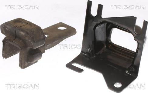 Triscan 8505 25117 - Подушка, підвіска двигуна autozip.com.ua