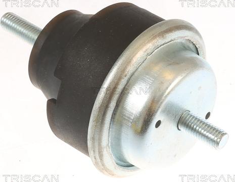 Triscan 8505 28106 - Подушка, підвіска двигуна autozip.com.ua