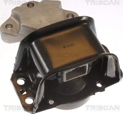 Triscan 8505 28100 - Подушка, підвіска двигуна autozip.com.ua