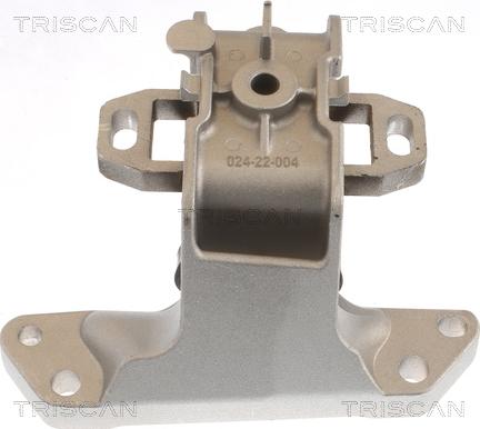 Triscan 8505 28118 - Подушка, підвіска двигуна autozip.com.ua