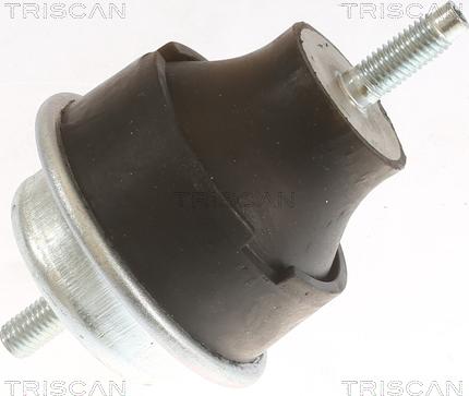 Triscan 8505 28113 - Подушка, підвіска двигуна autozip.com.ua