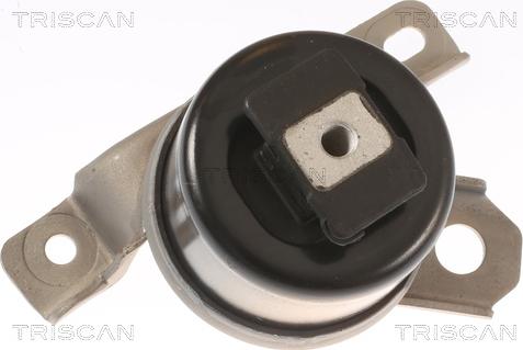 Triscan 8505 27107 - Подушка, підвіска двигуна autozip.com.ua
