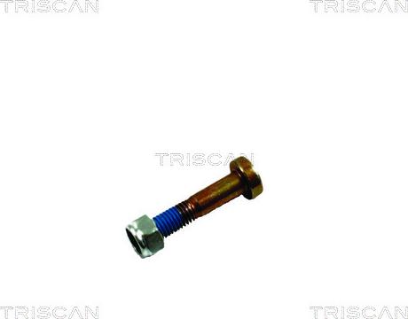 Triscan 8500 16861 - Монтажний комплект, важіль незалежної підвіски колеса autozip.com.ua