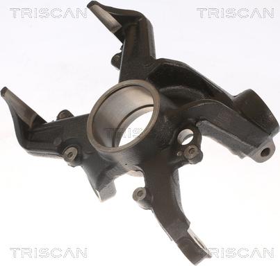 Triscan 8500 29703 - Поворотний кулак, підвіска колеса autozip.com.ua
