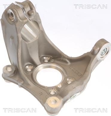 Triscan 8500 29716 - Поворотний кулак, підвіска колеса autozip.com.ua