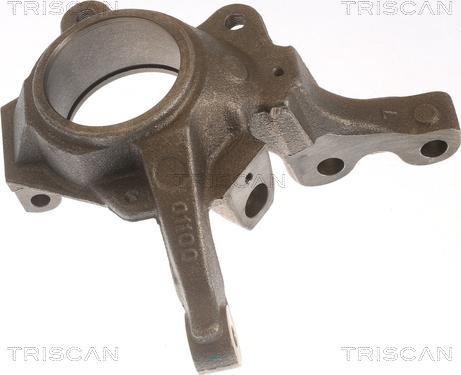 Triscan 8500 25701 - Поворотний кулак, підвіска колеса autozip.com.ua