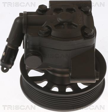 Triscan 8515 16678 - Гідравлічний насос, рульове управління, ГУР autozip.com.ua