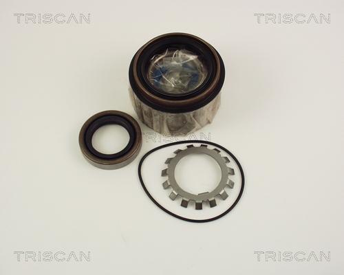 Triscan 8530 10251 - Комплект підшипника маточини колеса autozip.com.ua