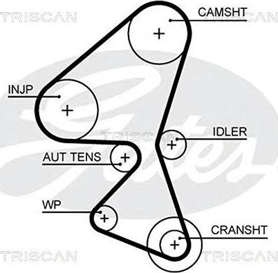 Triscan 8645 5657xs - Ремінь ГРМ autozip.com.ua