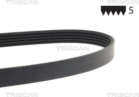 Triscan 8640 501193E - Клиновий ремінь autozip.com.ua