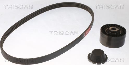 Triscan 8642 25017 - Поликлиновий ремінний комплект autozip.com.ua