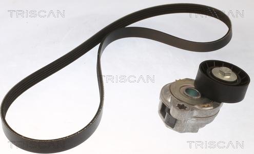 Triscan 8642 27002 - Поликлиновий ремінний комплект autozip.com.ua