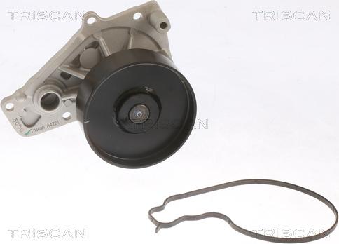 Triscan 8600 11061 - Водяна помпа BMW F20-F30-F32-G11 3.0 15- autozip.com.ua