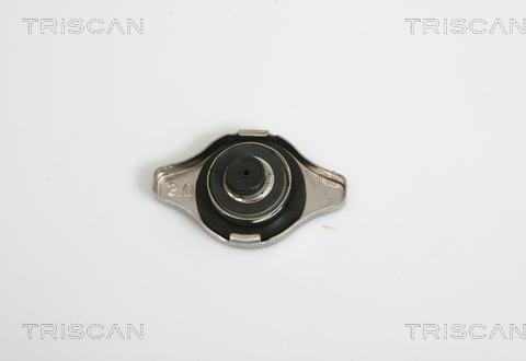 Triscan 8610 17 - Кришка, радіатор autozip.com.ua