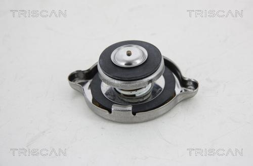 Triscan 8610 2 - Кришка, радіатор autozip.com.ua