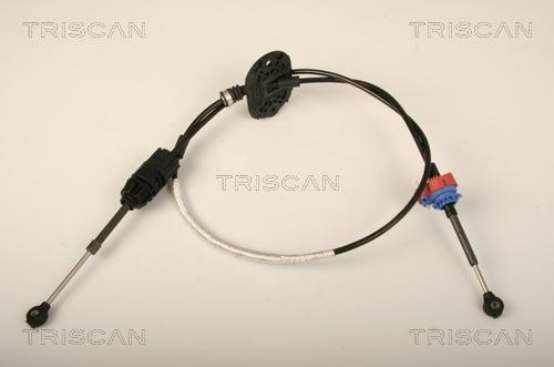 Triscan 8140 16704 - Трос, автоматична коробка передач autozip.com.ua