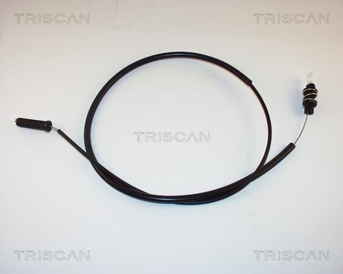 Triscan 8140 38317 - Тросик газу autozip.com.ua