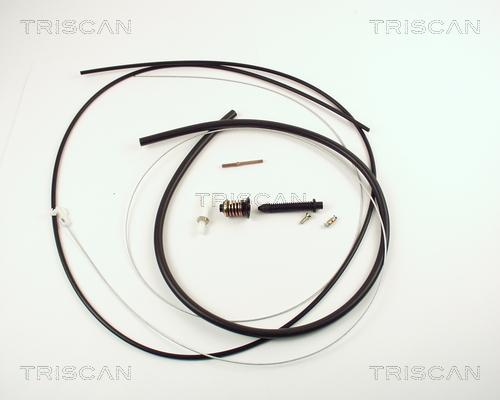 Triscan 8140 25315 - Тросик газу autozip.com.ua